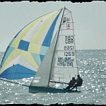 Thumbnail Photo for the Senta Gallery.